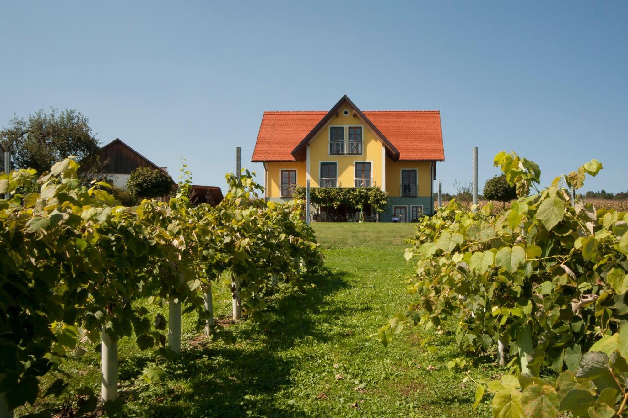 Weingut Winzerhof Gaestezimmer Grebenz Grossklein Exterior photo